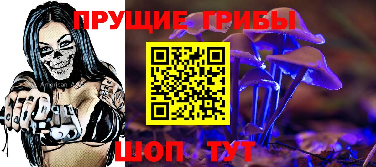 Ачхой-Мартан  Галлюциногенные грибы ЛСД  Псилоцибиновые грибы мухоморы  Вход с VPN 